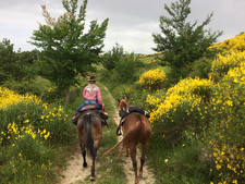 Italy-Abruzzo/Molise-Ancient Tratturi Ride